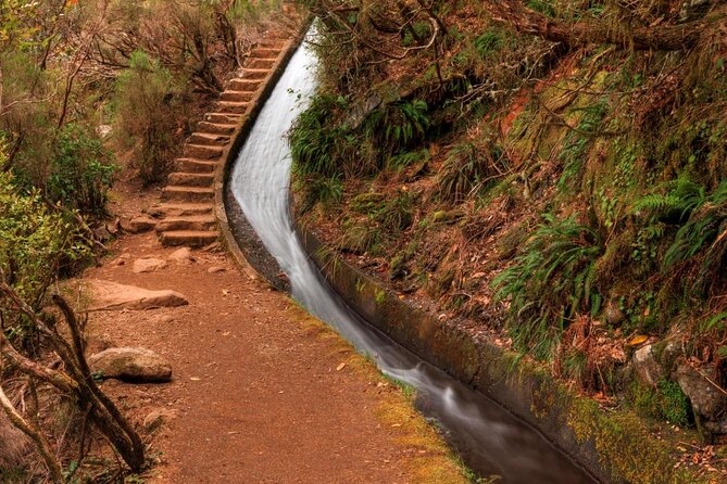 Madeira 4x4 Jeep Safari : Porto Moniz, Lava Pools & Fanal Forest - Câmara de Lobos start: start with a view, then switch to off-road