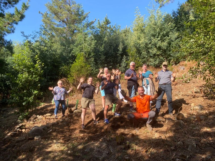 Madeira: Arieiro, Santana, Ponta de São Lourenço Jeep Tour - Your day starts with pickup, ozone-clean jeeps, and a realistic schedule