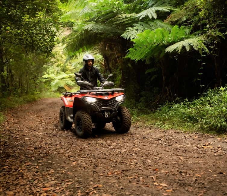 Madeira: Aventura Off-Road de ATV ou Quad - Adrenalina - Equipment and guides: what “top of the line” means in real life