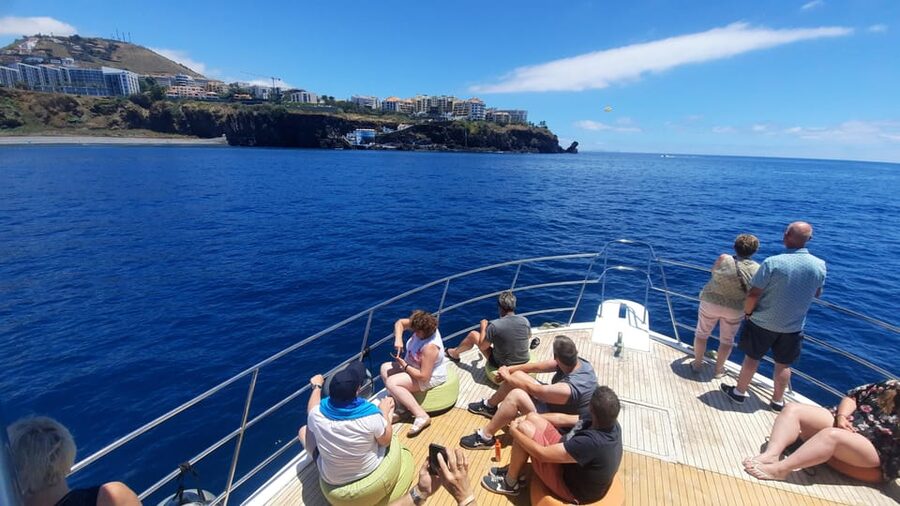 Madeira: Boat Trip with Lunch, Drinks, and Hotel Transfer - Value Check: Is $81 Per Person a Fair Deal?