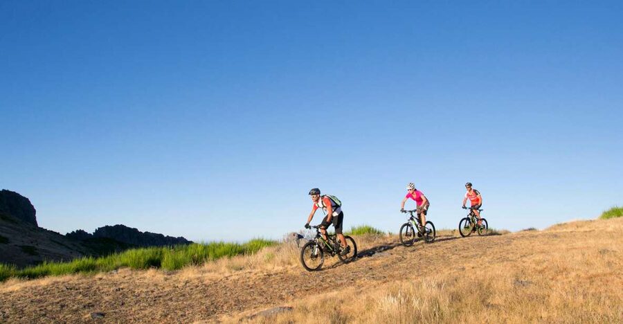 Madeira Botanical Levels Bike Tour – Scenic Trail Experience - Key Points at a Glance