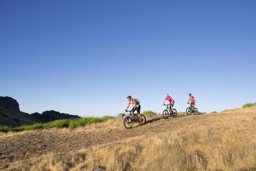 Madeira Botanical Levels Bike Tour – Scenic Trail Experience - Entering Poiso: The Altitude Game Plan (and Why It Works)
