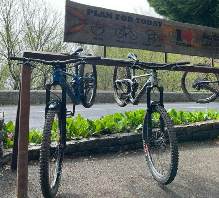 Madeira Botanical Levels Bike Tour – Scenic Trail Experience - Price and Value: What $94 Buys in the Real World