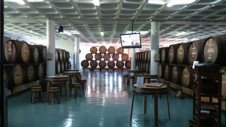 Madeira: Cabo Girao, Jeep Tour Adventure and Wine Tasting - Price and value: what you really get for about $57