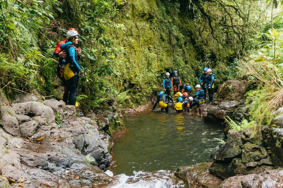 Madeira Canyoning Beginners – Easy & Fun Waterfall Adventure - The Nature Setting: Treebeards, Endemic Plants, and UNESCO Status