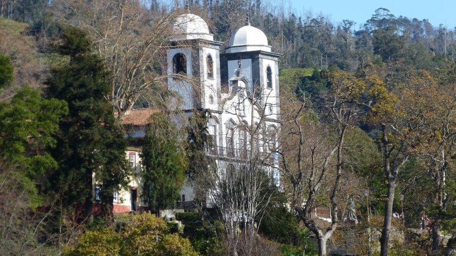 Madeira: Customized 3, 4 or 6-Hour Tour - Madeira Botanical Garden and Garajau for East-Coast Contrast