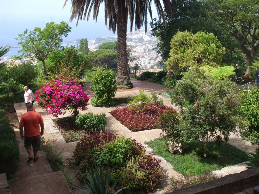 Madeira: Customized 3, 4 or 6-Hour Tour - Câmara de Lobos and Cabo Girão, the West Coast Big-View Run