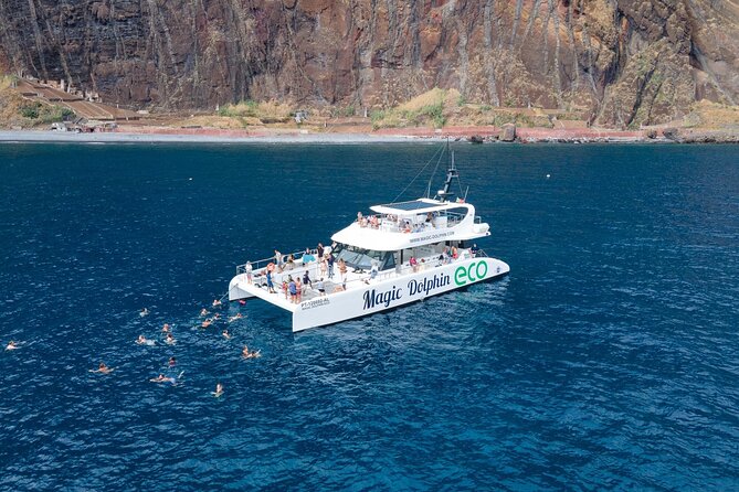 Madeira Dolphin and Whale Watching on a Ecological Catamaran - Key highlights and smart reasons to book