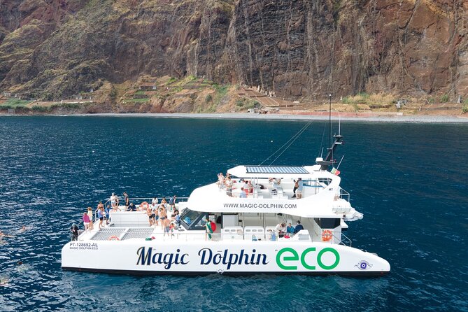Madeira Dolphin and Whale Watching on a Ecological Catamaran - How Spotters With Binoculars Change Your Odds