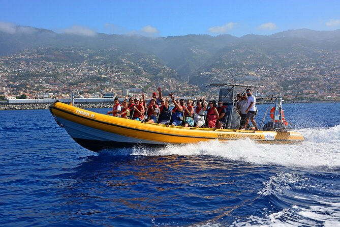 Madeira Dolphin & Whale Watching Tour - Key Points to Know Before You Go