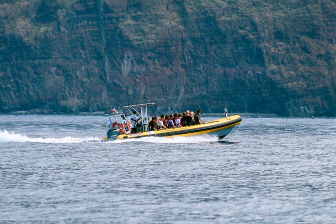 Madeira Dolphin & Whale Watching Tour - The Crew: Skipper Skills and Marine Biologist Commentary