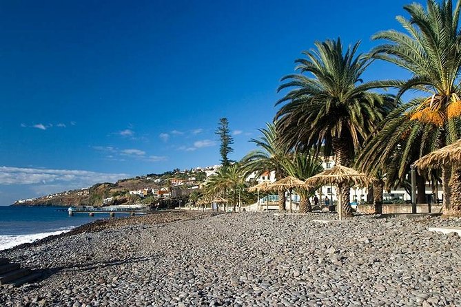Madeira East Tour from Funchal - Ribeiro Frio: Trout Pools and a Levada-Walk Starting Area