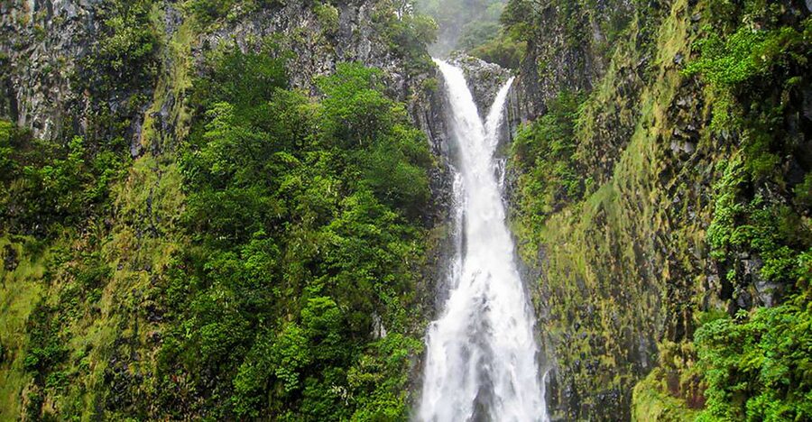 Madeira: Enjoy a Guided Levada Walk in the Rabaçal Valley - Walking the levada route: Paul da Serra down to Levada do Risco