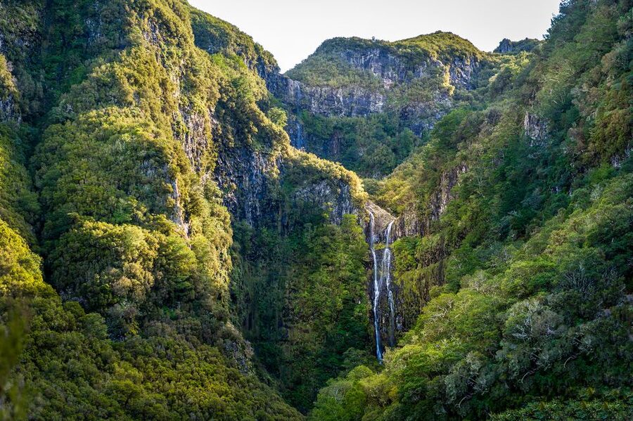 Madeira: Enjoy a Guided Levada Walk in the Rabaçal Valley - Levada das 25 Fontes: the springs, the lagoon, and the head-brace moment