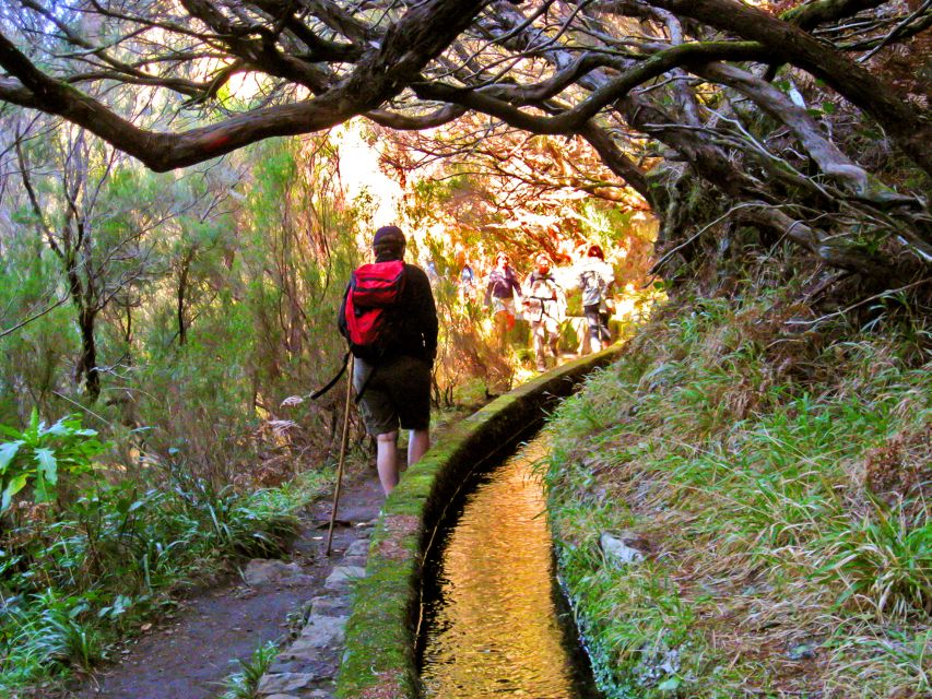 Madeira: Enjoy a Guided Levada Walk in the Rabaçal Valley - The return route and the long tunnel carrying water south