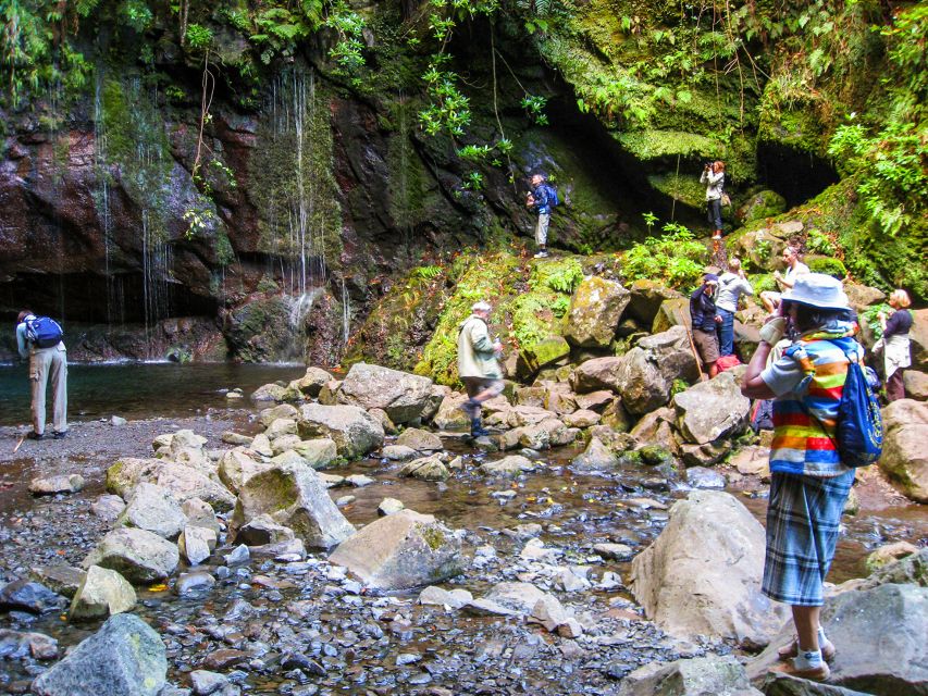 Madeira: Enjoy a Guided Levada Walk in the Rabaçal Valley - Flora and wildlife spotting, guided by people who actually point