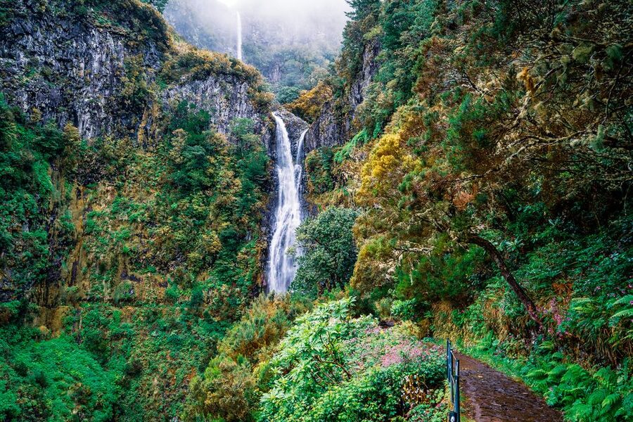 Madeira: Enjoy a Guided Levada Walk in the Rabaçal Valley - Hotel pickup and the ride from Funchal (without the stress)