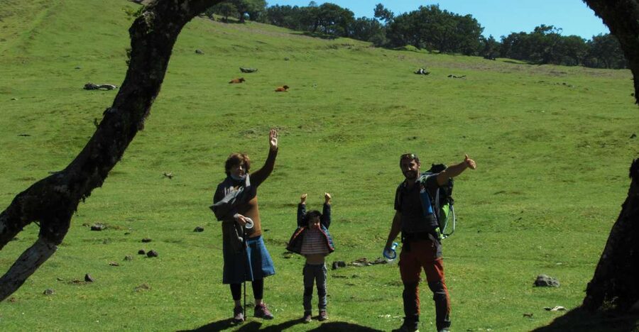 Madeira: Fanal Forest Guided Hiking Tour - Key things I’d watch for