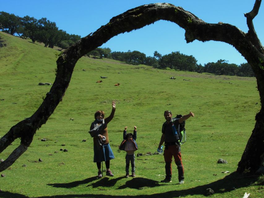 Madeira: Fanal Forest Guided Hiking Tour - Heading to Fanal: the SUV ride that sets the mood