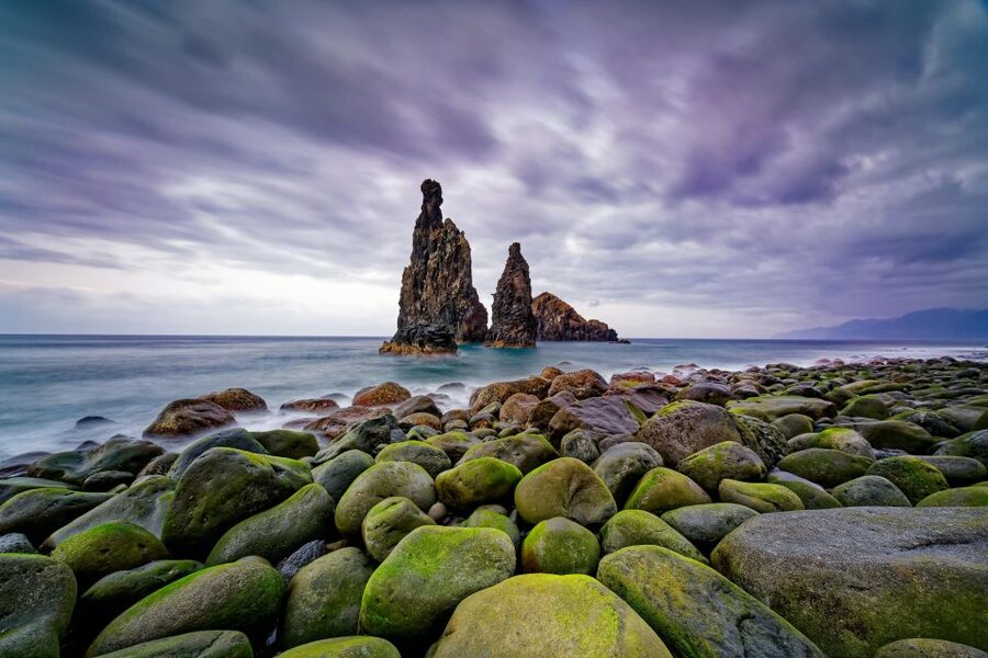Madeira: Full-Day Jeep Tour, Natural Pools, Seixal & Fanal - Porto Moniz Natural Swimming Pools, your real chance to cool off