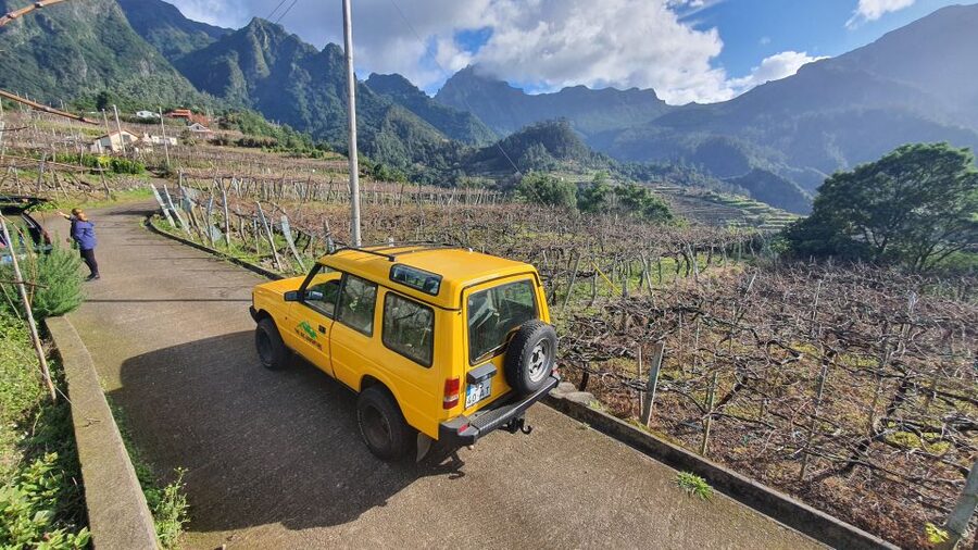 Madeira: Full-Day Jeep Tour with Guide and Pickup - Fanal Forest: A Quiet Pause From the Road