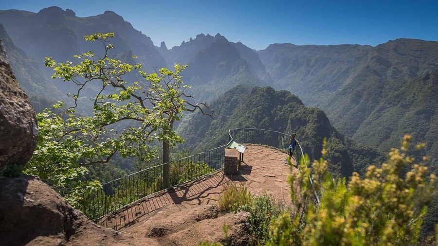 Madeira Funchal:East Tour Pico Arieiro & Santana&Laurissilva - Ribeiro Frio and UNESCO Laurissilva: the quiet forest side of Madeira