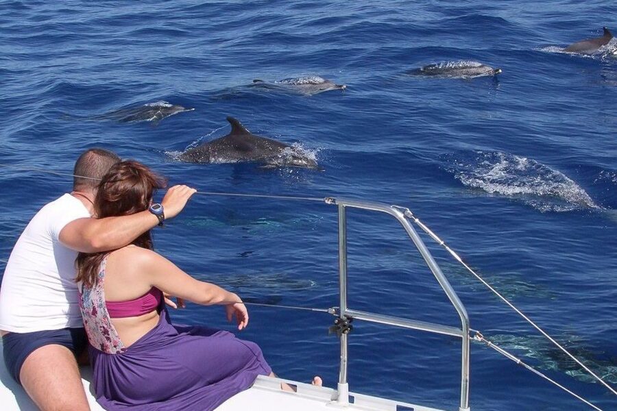 Madeira: Funchal Sunset Tour by Catamaran - Key highlights you should plan around