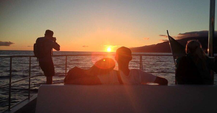 Madeira: Funchal Sunset Tour by Catamaran - The south-coast cruise from Funchal: dolphins, whales, and real sea-life talk