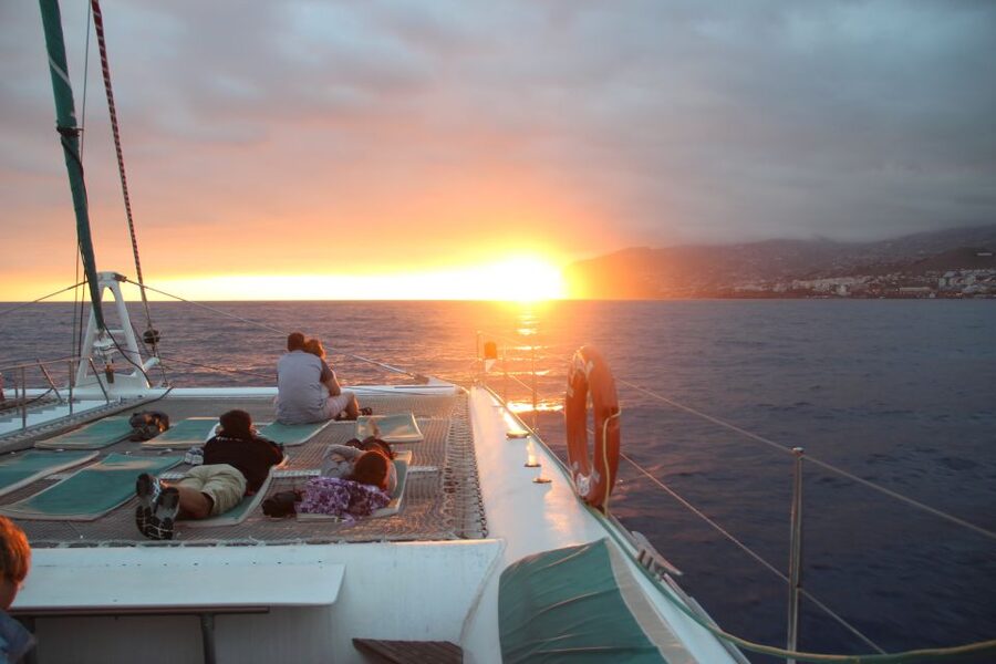 Madeira: Funchal Sunset Tour by Catamaran - Who will love this cruise, and who might want another plan