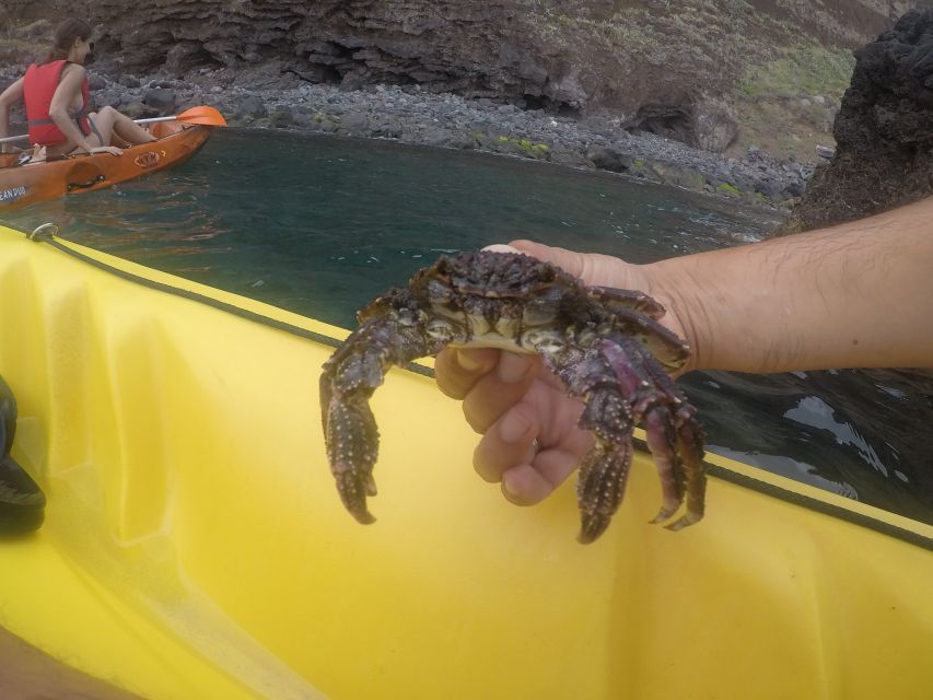 Madeira: Garajau Nature Reserve Kayak and Snorkel Tour - Should You Book This Madeira Garajau Kayak and Snorkel Tour?