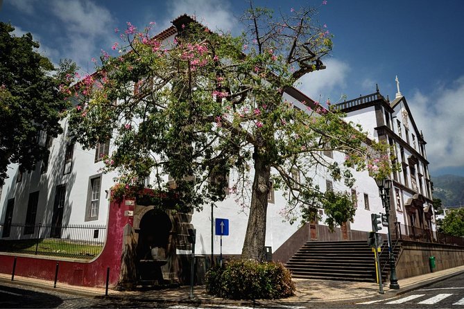 Madeira Grand Experience by Tukxi, Private Tour - Stop-by-stop: how the 6-hour plan plays out