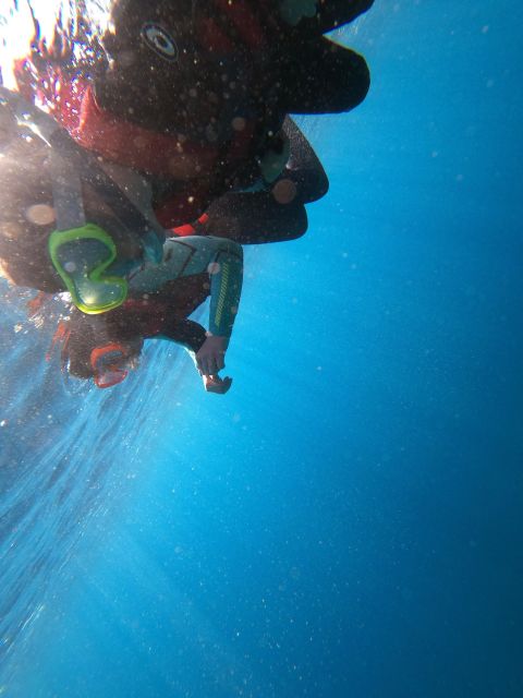 Madeira: Half-Day Coasteering Tour - Key things that make this tour worth your time