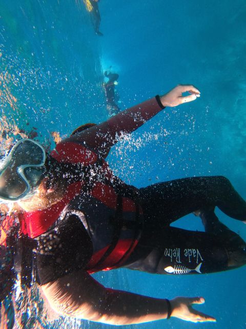 Madeira: Half-Day Coasteering Tour - Sea conditions: why your day might feel more intense
