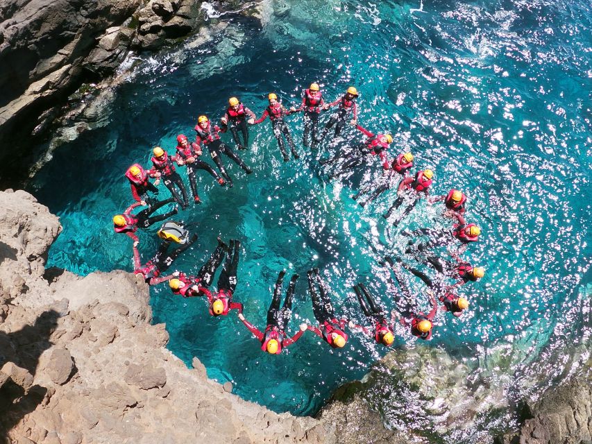 Madeira: Half-Day Coasteering Tour - Who should book, and who should skip this coasteering tour