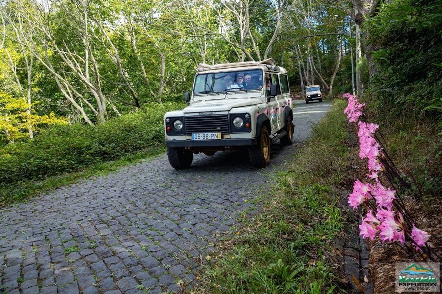Madeira: Half-Day Nun's Valley and Sea Cliff Tour - Nun’s Valley, Cabo Giráo, and Câmara de Lobos in one half-day route