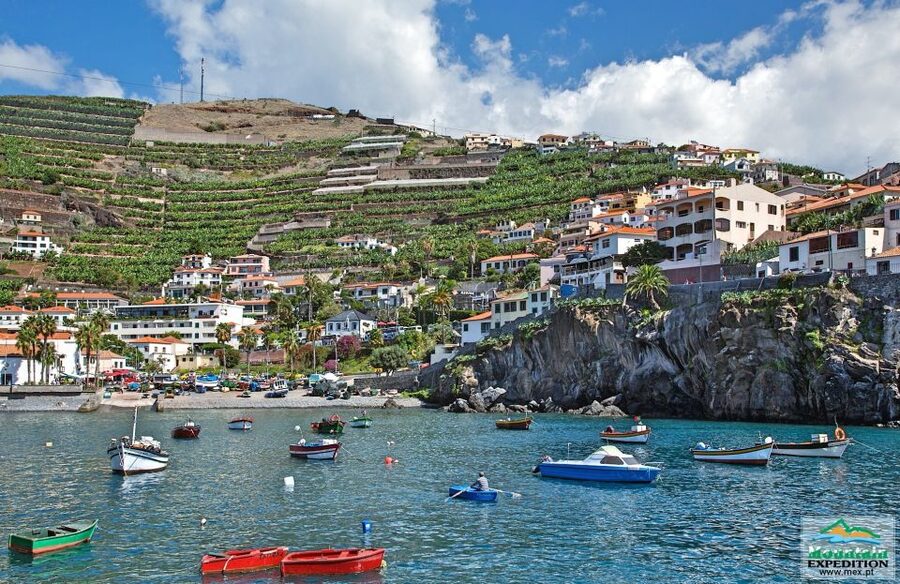 Madeira: Half-Day Nun's Valley and Sea Cliff Tour - Jardim da Serra and Quinta Grande: where the off-road fun happens