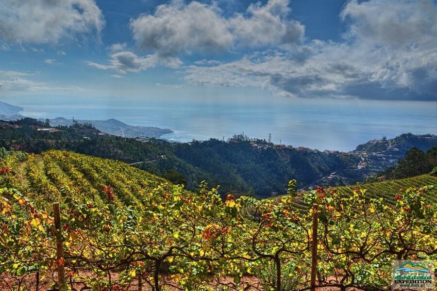 Madeira: Half-Day Nun's Valley and Sea Cliff Tour - Cabo Giráo cliff stop: the big sea-view payoff