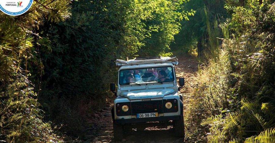 Madeira: Half-Day Nun's Valley and Sea Cliff Tour - Pickup in Funchal and the scenic warm-up stretch