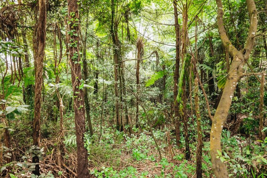 Madeira: Half-Day Pico Arieiro Jeep Tour - Who should book the Madeira Pico Arieiro Jeep Tour