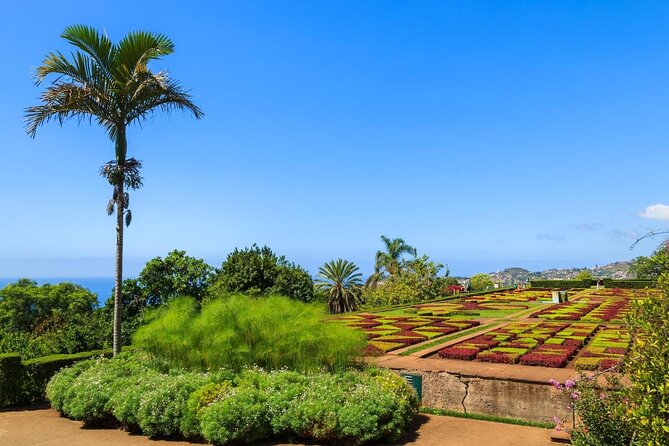 Madeira Highlights: Toboggan, Garden & Cable Car (All-Inclusive) - Cable Car From Funchal to Monte: the calm start