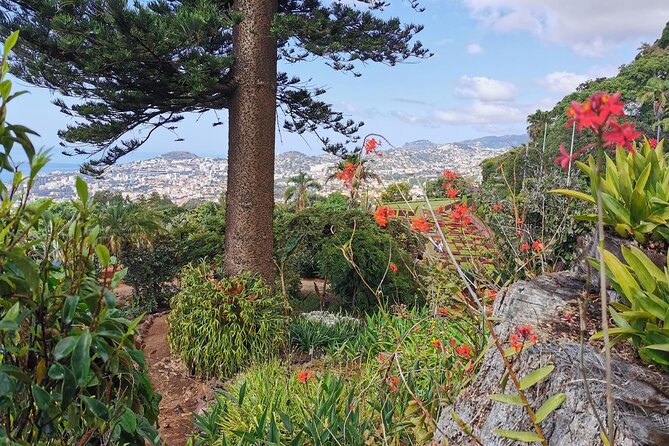 Madeira Highlights: Toboggan, Garden & Cable Car (All-Inclusive) - Who This Tour Fits: families, cruise stops, and “we want it easy” travelers
