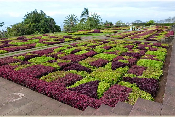 Madeira Highlights: Toboggan, Garden & Cable Car (All-Inclusive) - Logistics that Matter: timing, tickets, and not losing your group