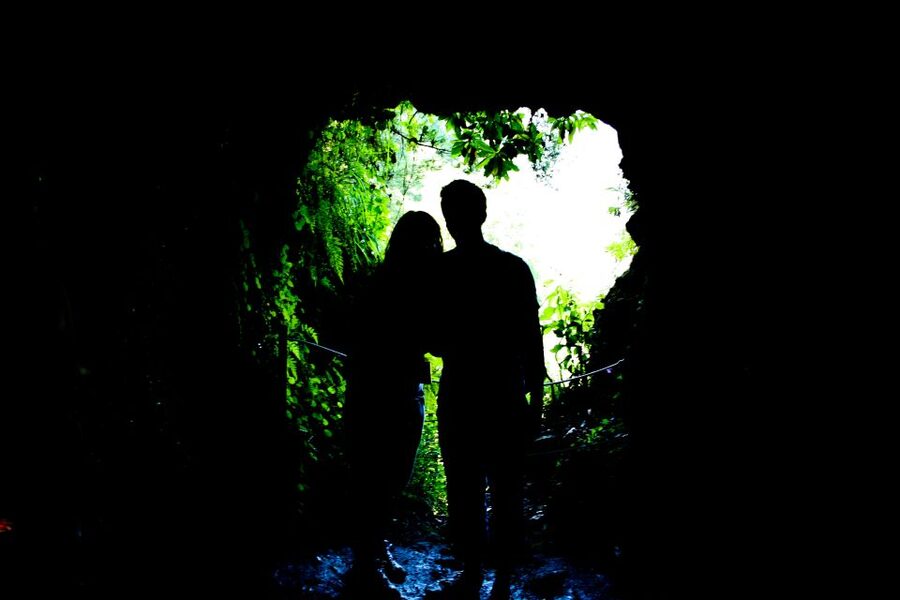Madeira Island: Caldeirão Verde Levada Walk - Key highlights you should clock before you go