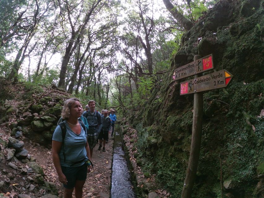Madeira Island: Caldeirão Verde Levada Walk - Price and value: why $54 can be fair if you use the guide well