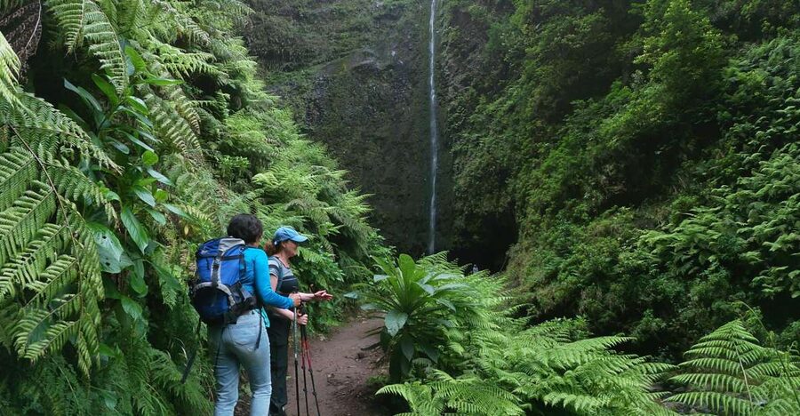 Madeira Island: Caldeirão Verde Levada Walk - Caldeirão Verde: the 30-minute waterfall break that makes the whole hike worth it