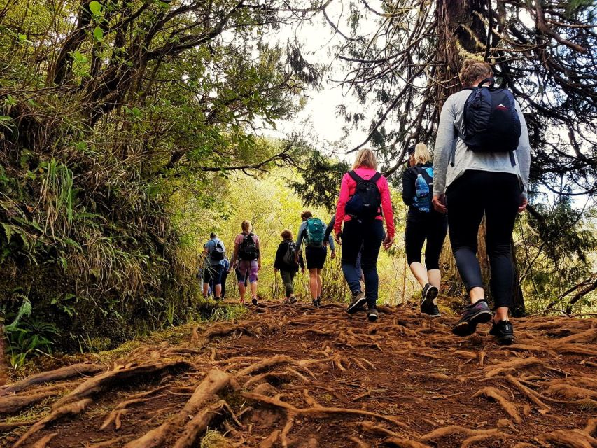Madeira Island: Caldeirão Verde Levada Walk - Who this Caldeirão Verde levada walk is best for, and who should skip it