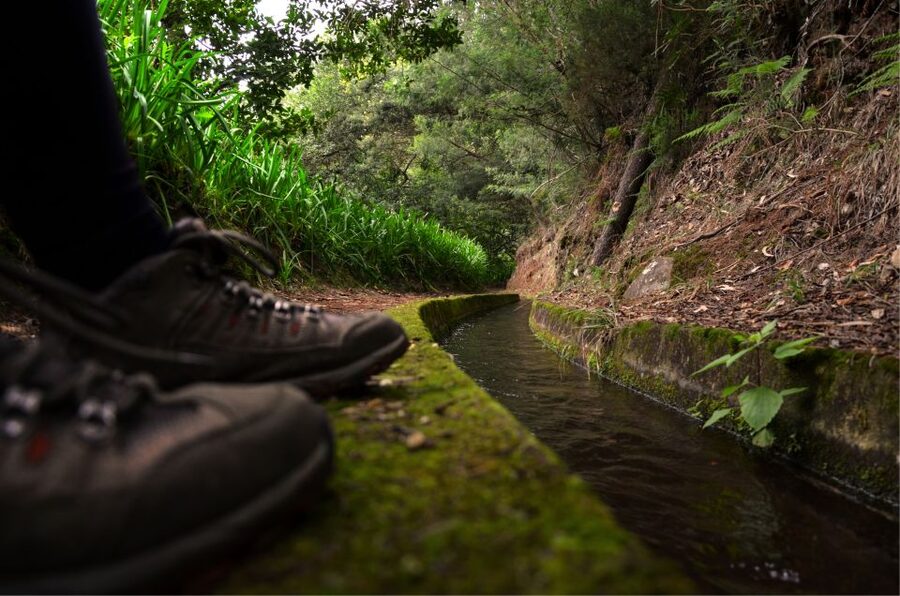 Madeira Island: Caldeirão Verde Levada Walk - Following the levada: 13 km of mostly steady effort, plus four basalt tunnels