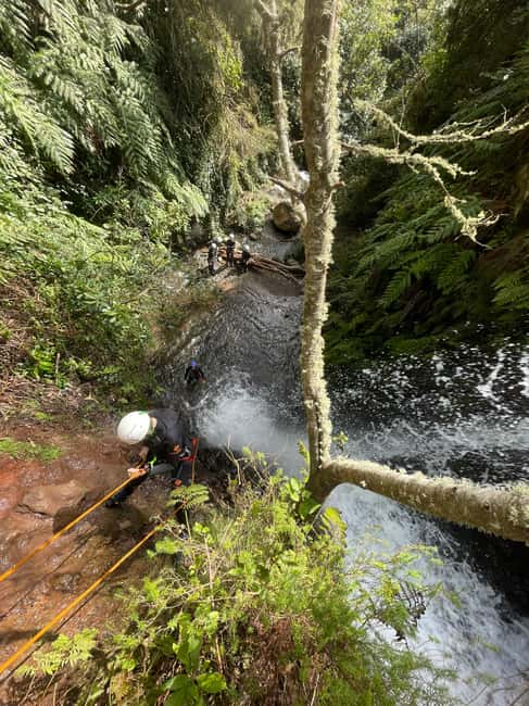 Madeira: Level-1 Canyoning Adventure - Waterfall Rappels: The Main Event, And What Makes It Fun Instead Of Freaky