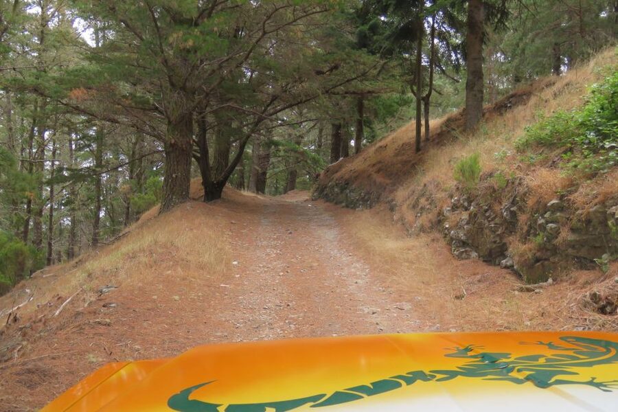 Madeira : Nun's Valleys and Pico Areeiro 4X4 Tour - What to wear and bring for steep roads and lookout time