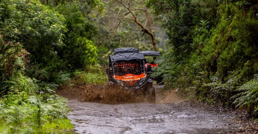 Madeira: Off-Road Buggy Adventure Through Laurissilva Forest - Key highlights I’d circle on your Madeira plan